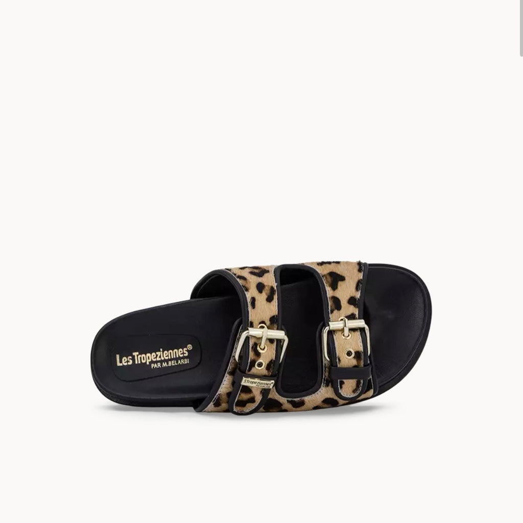 Tropeziennes Doxy Leopard