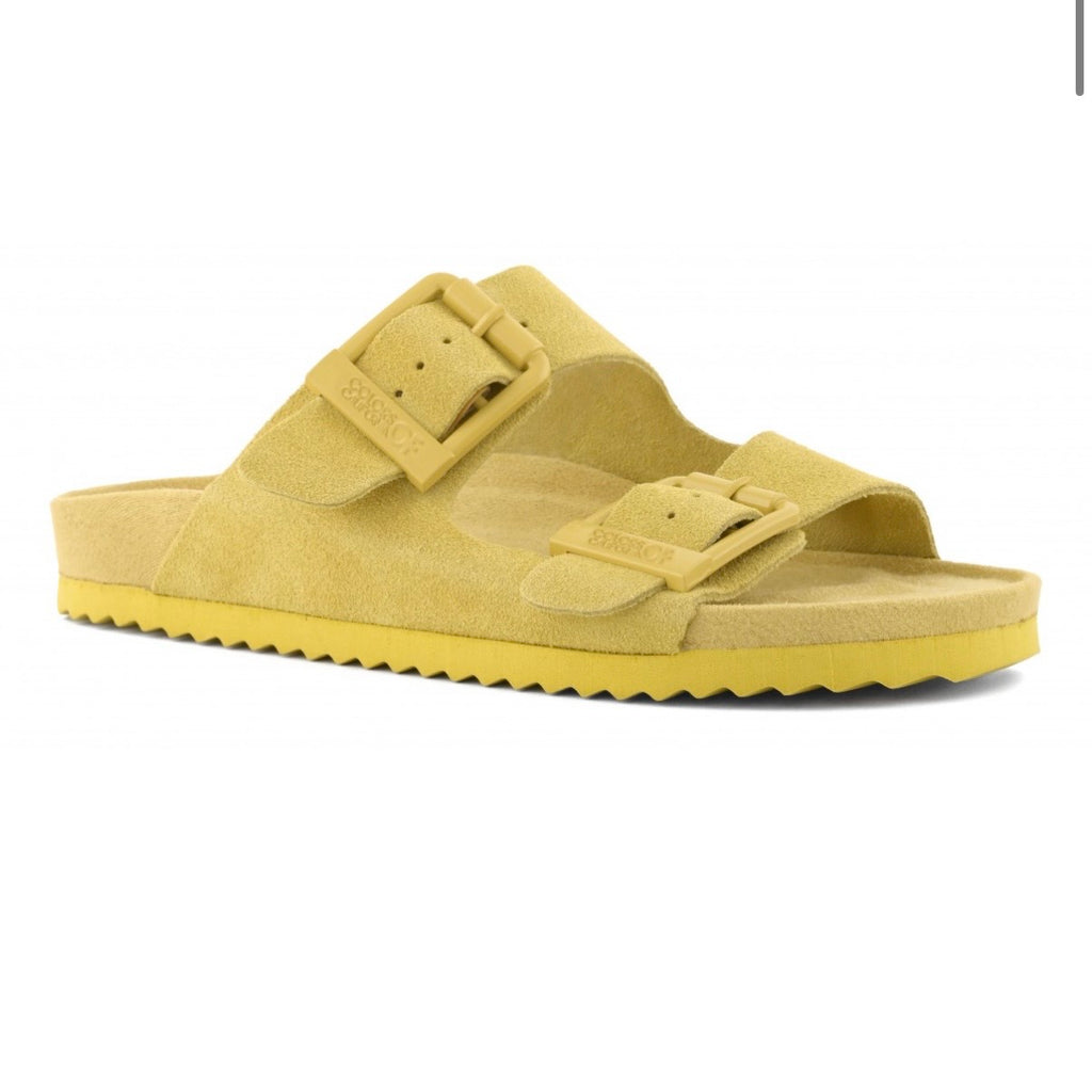 Colors of California en daim