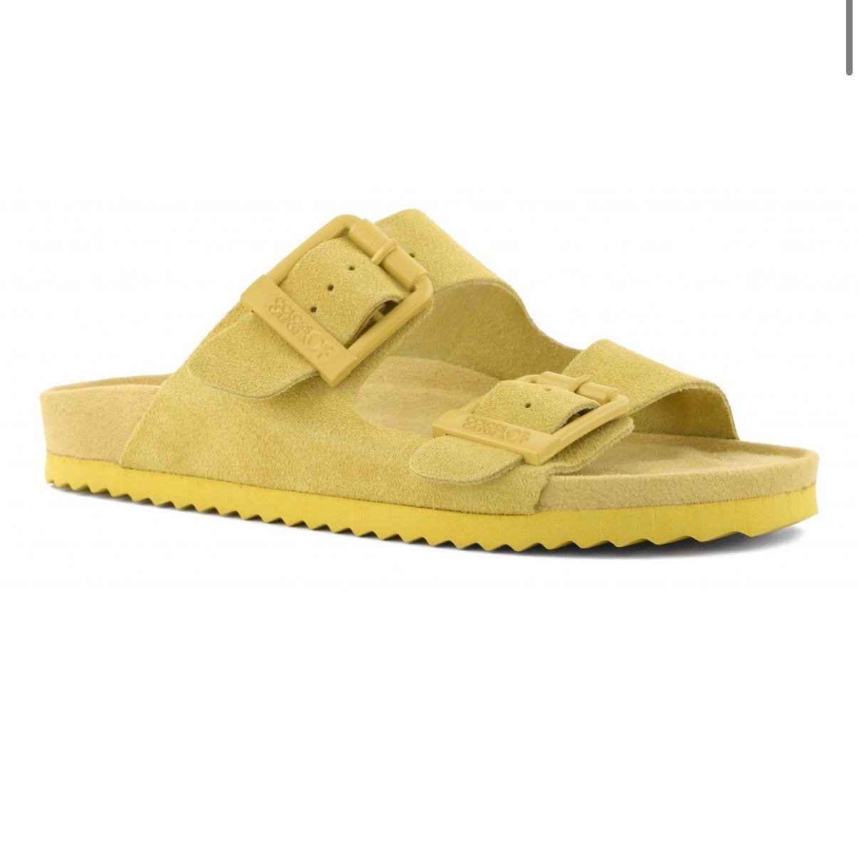 Colors of California en daim