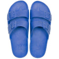 Cacatoes Rio de Janeiro Bleue Roi
