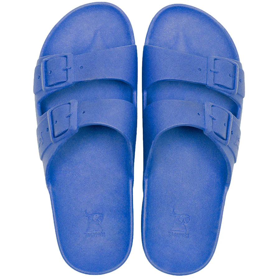 Cacatoes Rio de Janeiro Bleue Roi