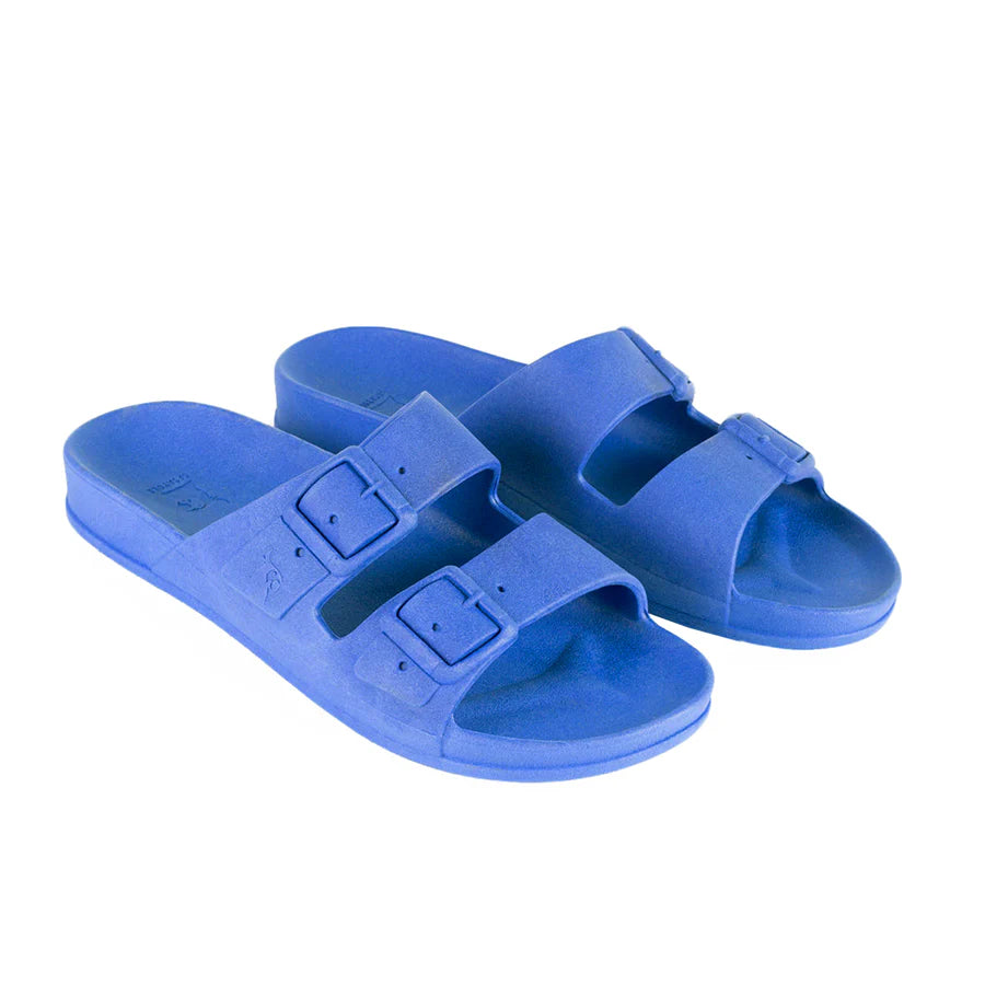 Cacatoes Rio de Janeiro Bleue Roi