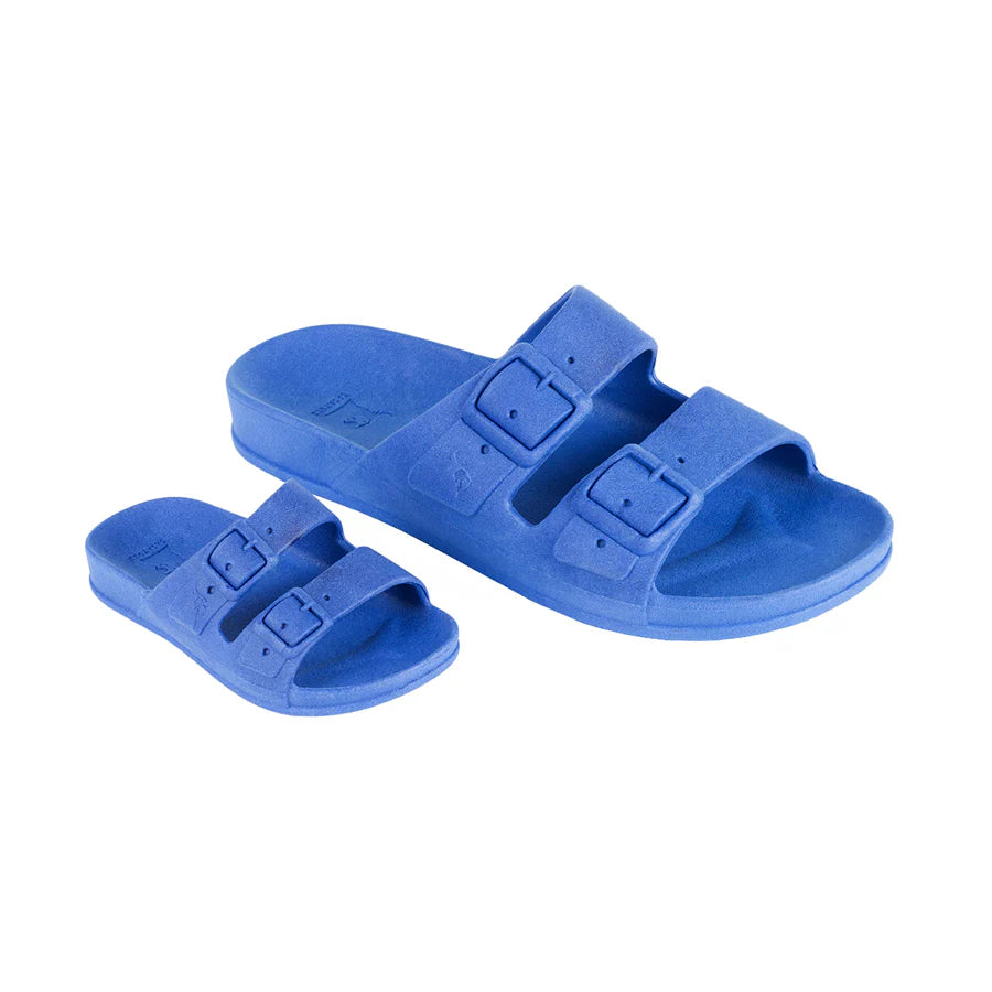 Cacatoes Rio de Janeiro Bleue Roi