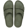 Cacatoes Rio de Janeiro Kaki